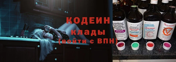 хмурый Лагань