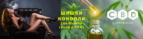 хмурый Лагань