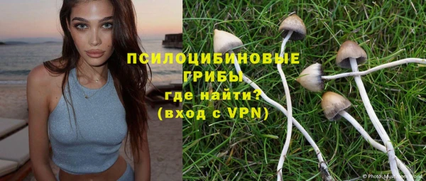 мдма Краснослободск