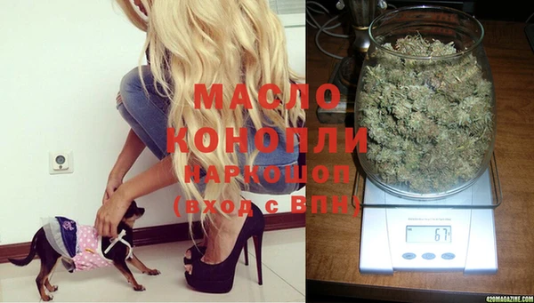 спиды Ладушкин