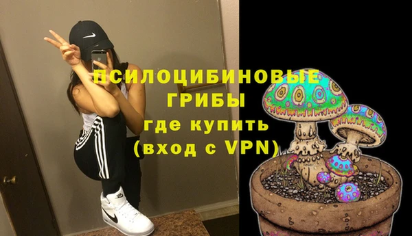 spice Лабытнанги
