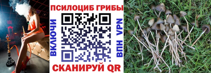 Галлюциногенные грибы Cubensis  где можно купить   Мирный 