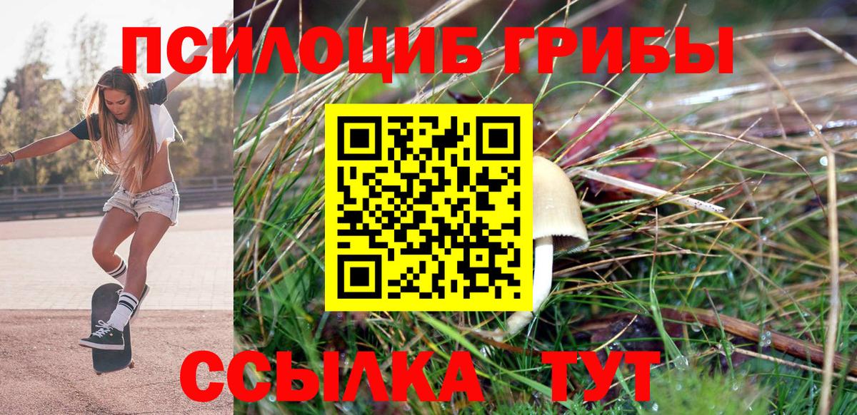 Псилоцибиновые грибы мухоморы Мирный