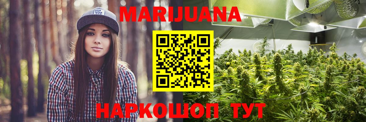 Канабис сатива Мирный